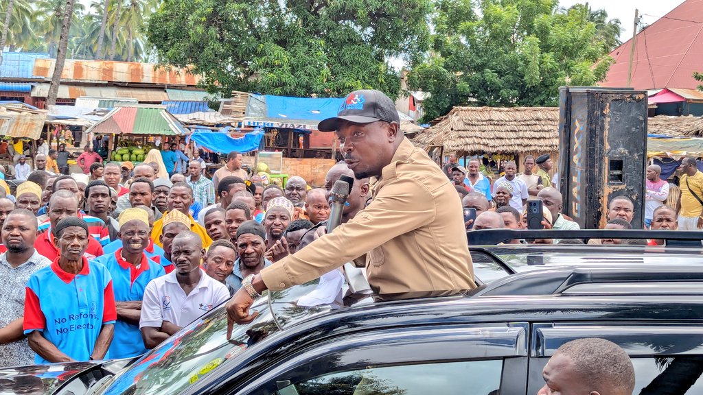 &quot;Chadema Sio Sehemu Yakutimiza Ndoto za Watu Kuwa Wabunge&quot; - Heche
